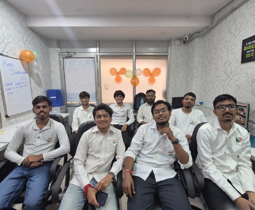 Taniya Webfix Professional Services