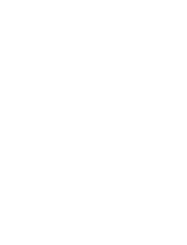 Development Decorative Shape