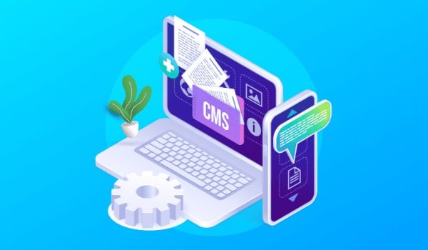 Cms Website Development Cms Website Development